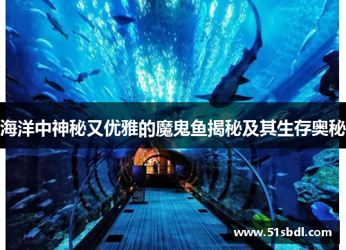 海洋中神秘又优雅的魔鬼鱼揭秘及其生存奥秘